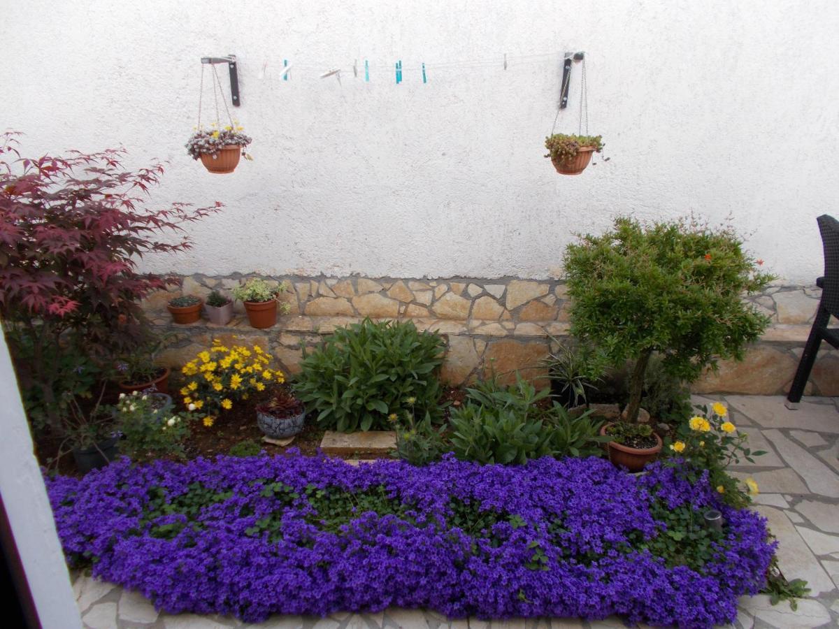 Dragana Apartment